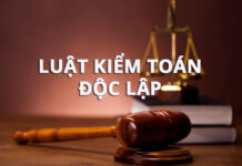 Nghị định số 90/2025/NĐ-CP